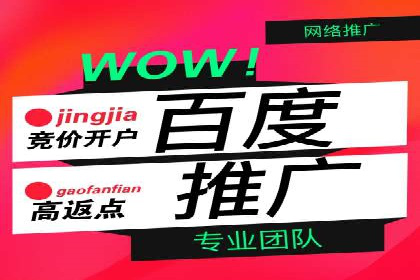 某电商平台的SEM竞价推广实践